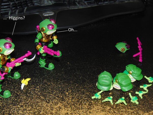 Toads (7).JPG