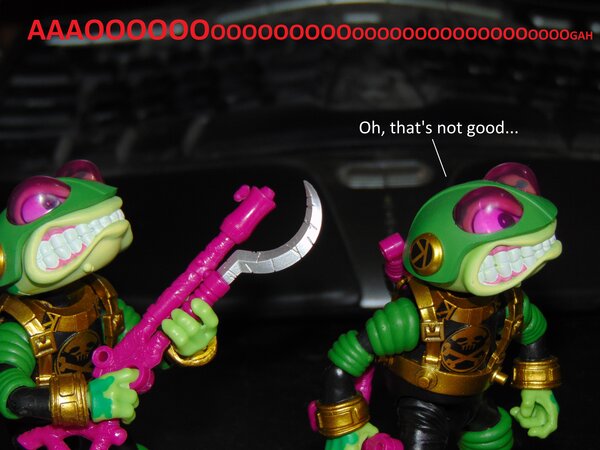 Toads (8).JPG