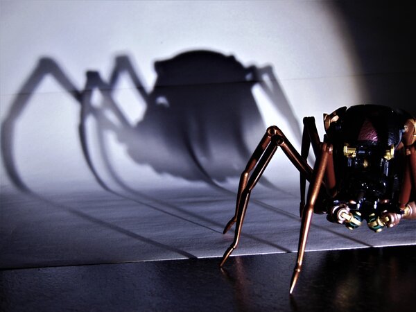 Spider Shadow.JPG