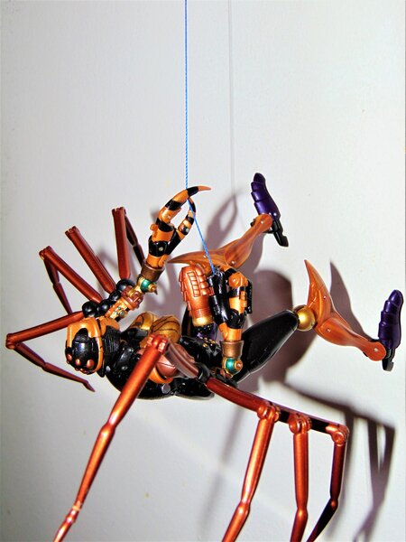 Wallcrawler (2).jpg