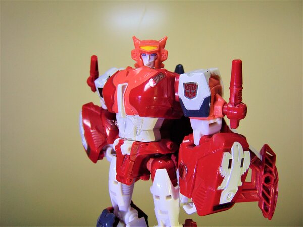 Elita-1 (2).JPG