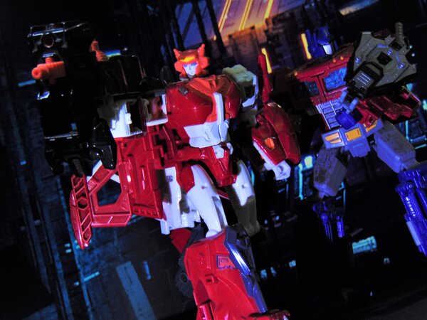 Elita-1 (3).JPG