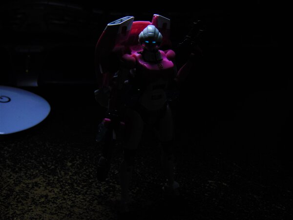 Arcee No Light (2).JPG