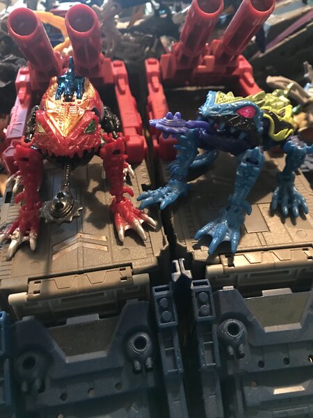 Frogs.jpg