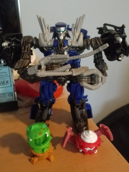 Spinny & Botbots.jpg