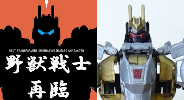 volcanicus.jpg