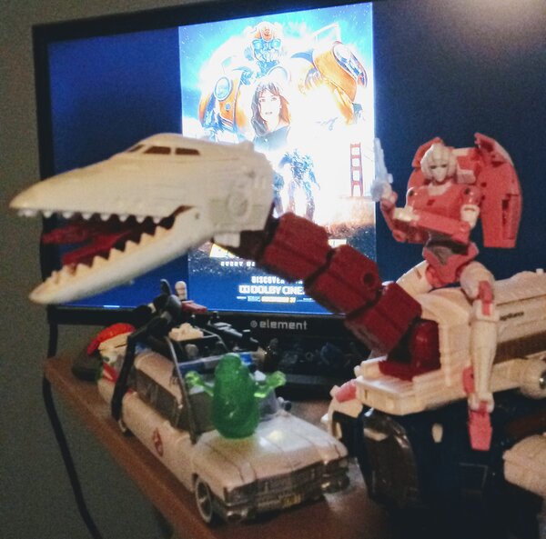Save a horse, Ride a Skylynx.jpg
