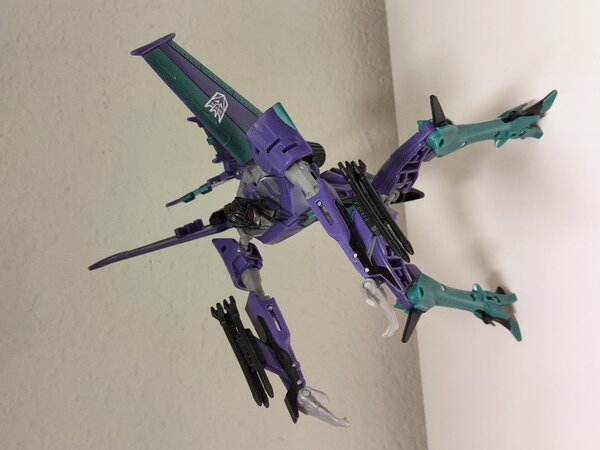 20201024_205021.jpg