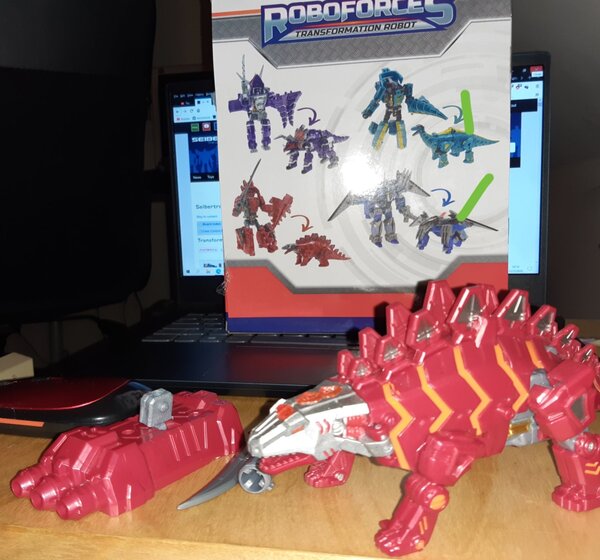 snarl.jpg