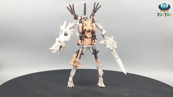 Fossilizer.jpg
