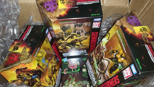 New Toys.jpg