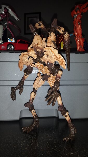 Paleotrex (4).jpg