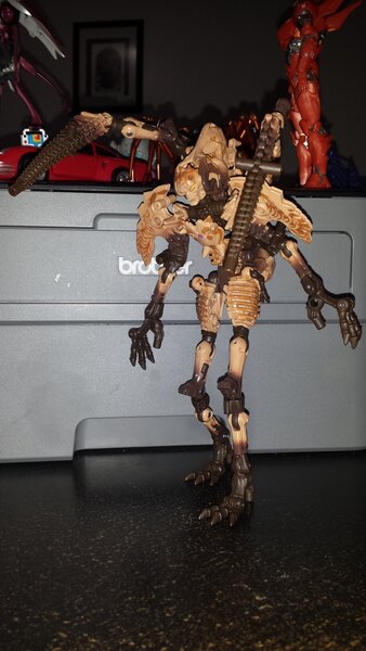 Paleotrex (5).jpg