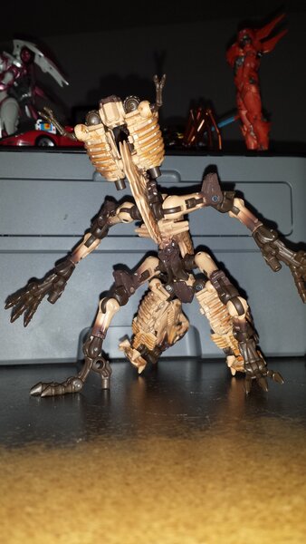 Paleotrex (7).jpg