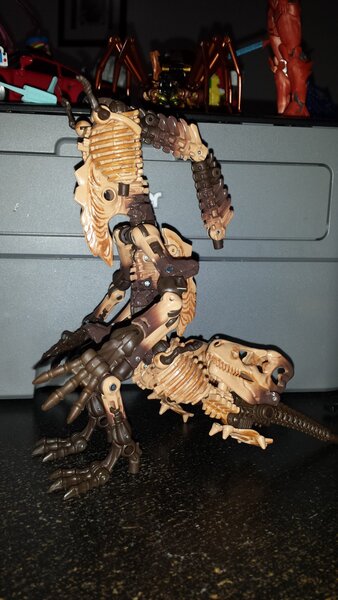 Paleotrex (8).jpg
