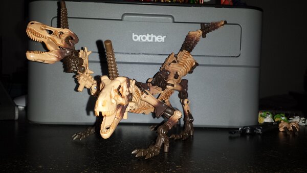 Paleotrex (9).jpg