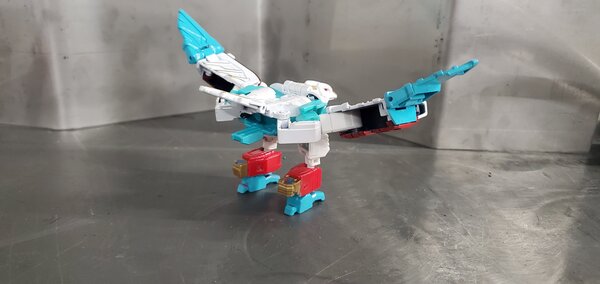 20210124_170641.jpg