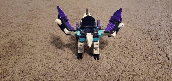 20210121_153913.jpg