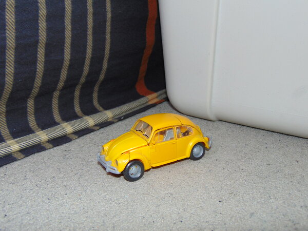 Bumblebee Transform (2).JPG