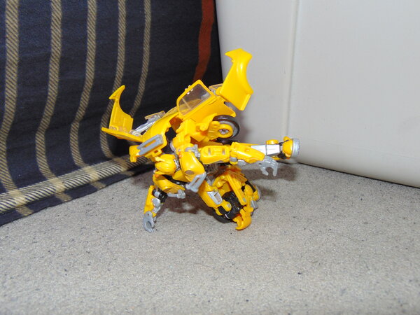 Bumblebee Transform (3).JPG