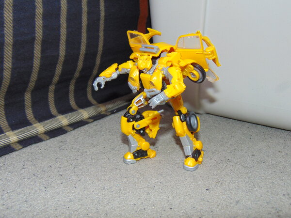 Bumblebee Transform (4).JPG