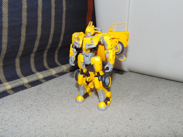 Bumblebee Transform (5).JPG