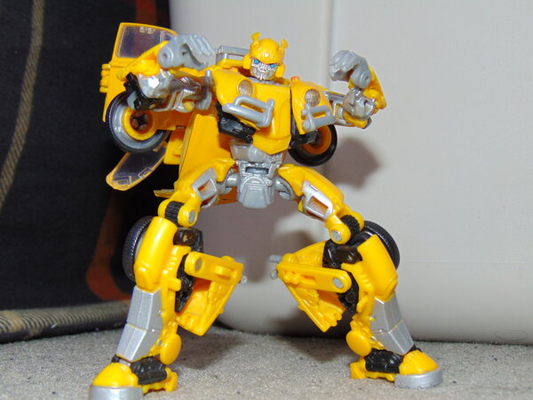 Bumblebee Transform (1).JPG