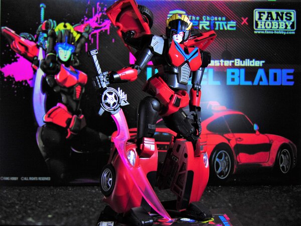 Wheel Blade pose.JPG