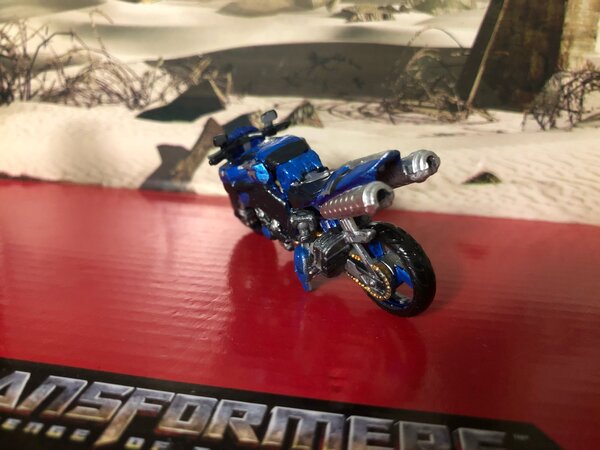 Chromia bike back.jpg