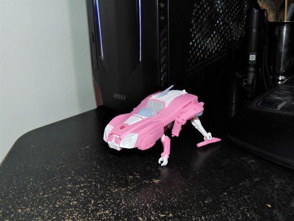 ER Arcee (2).JPG