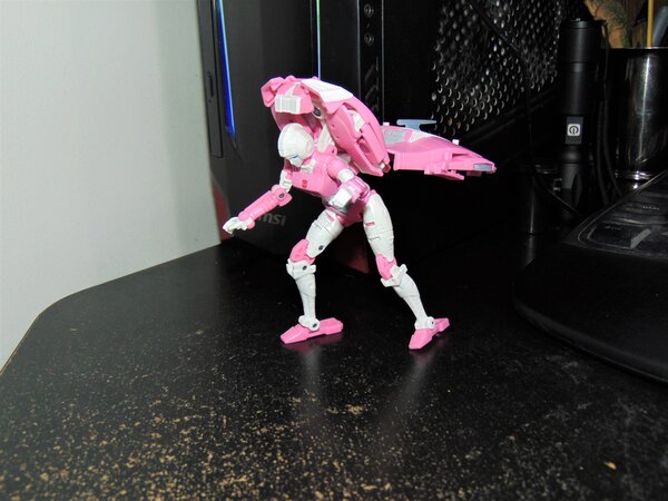 ER Arcee (3).JPG