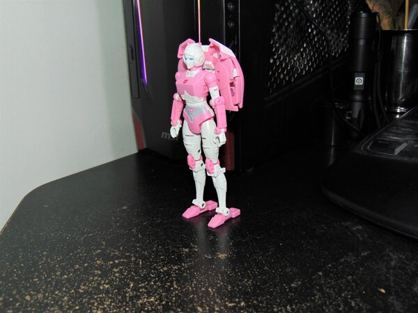 ER Arcee (4).JPG