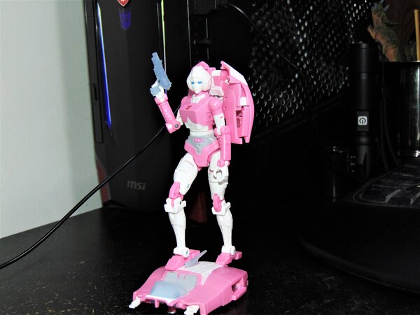 ER Arcee (5).JPG