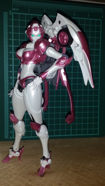 some Nicee pictures (1).jpg