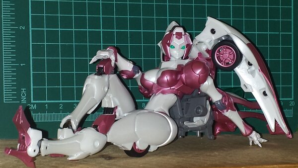 some Nicee pictures (2).jpg