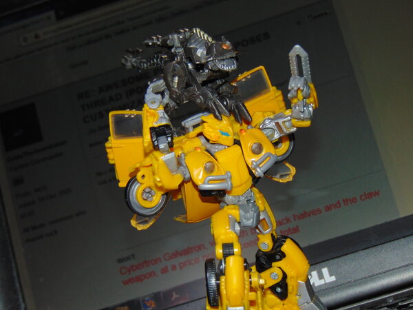 Ravage and Bumblebee.JPG