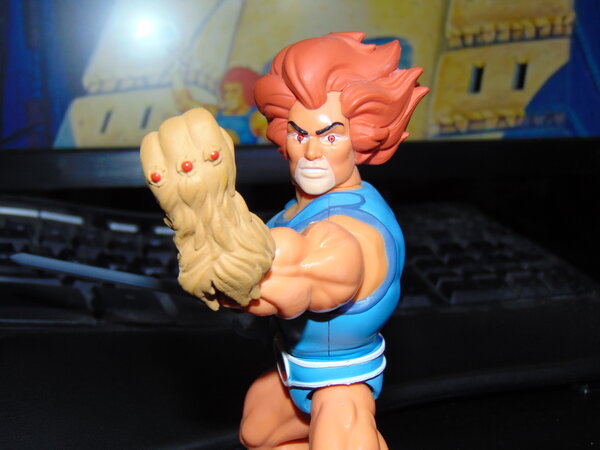 Lion-O (3).JPG