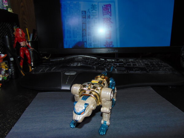 Transmetal Cheetor Transform (1).JPG