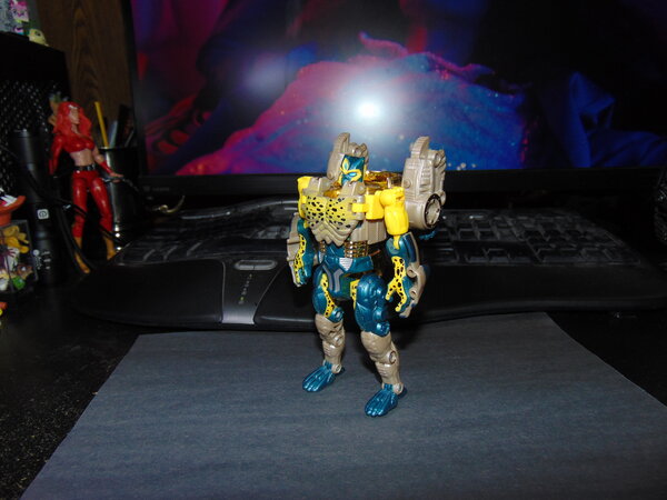 Transmetal Cheetor Transform (4).JPG