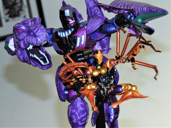 Predacons.JPG