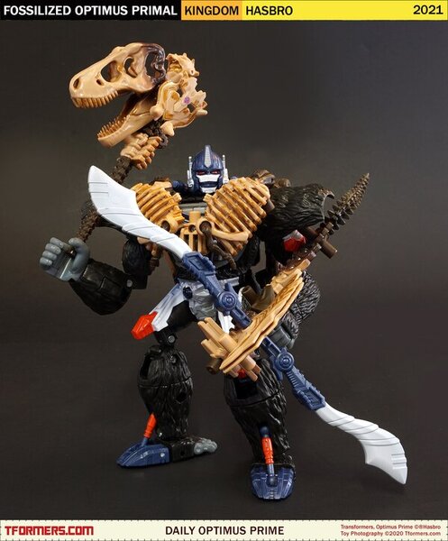 Daily Prime - Transformers Kingdom Fossilized Optimus Primal (2)__scaled_600.jpg