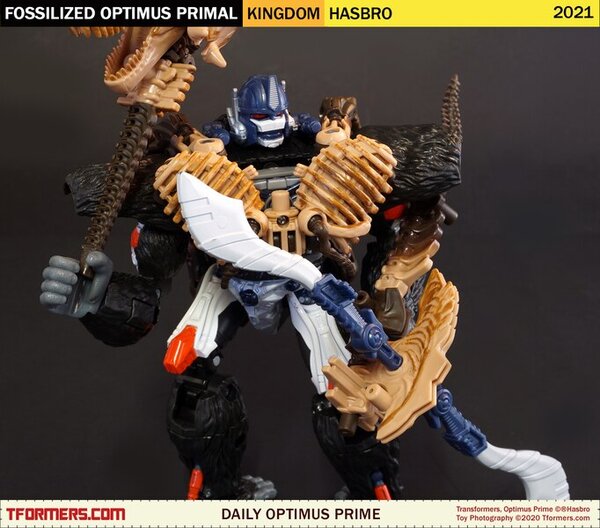 Daily Prime - Transformers Kingdom Fossilized Optimus Primal (3)__scaled_600.jpg