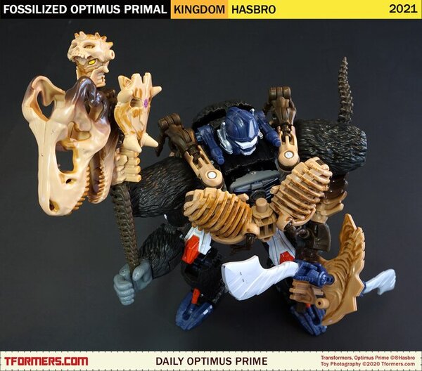 Daily Prime - Transformers Kingdom Fossilized Optimus Primal (4)__scaled_600.jpg