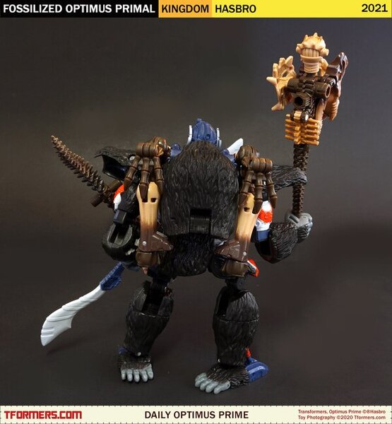 Daily Prime - Transformers Kingdom Fossilized Optimus Primal (6)__scaled_600.jpg