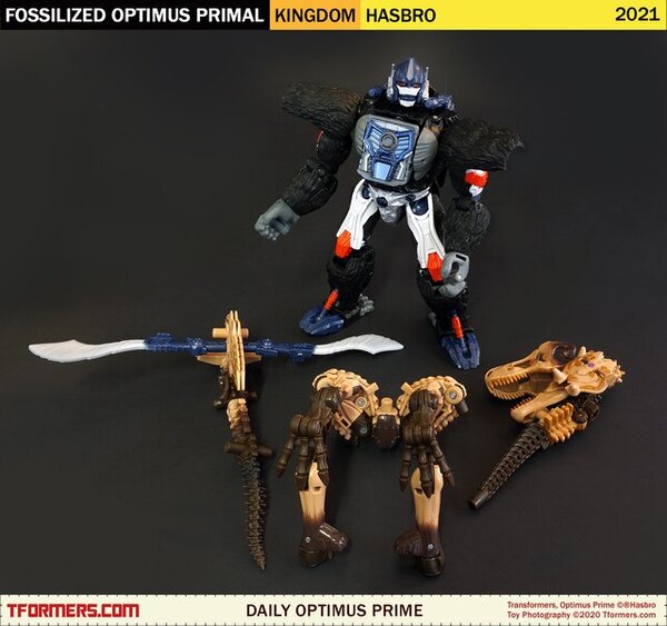 Daily Prime - Transformers Kingdom Fossilized Optimus Primal (8)__scaled_600.jpg