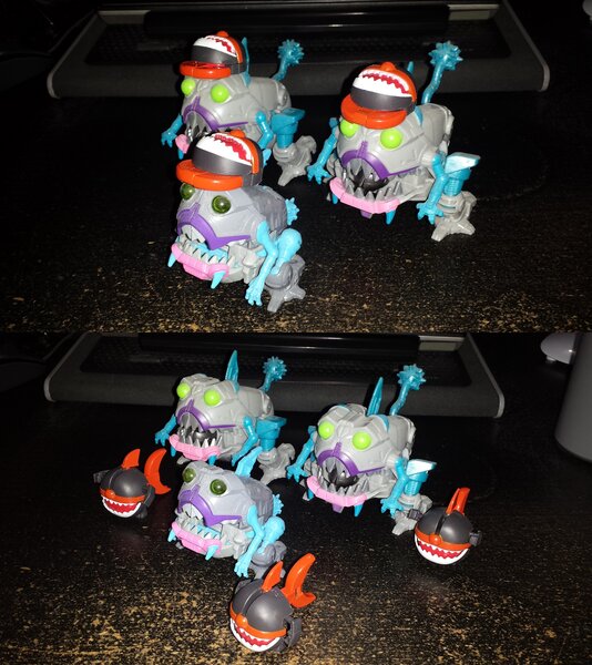 Shark Hat Gang.jpg