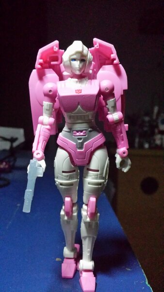 ER Arcee 1 (2).jpg
