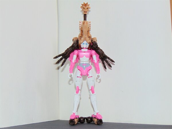 ER Arcee (3).JPG