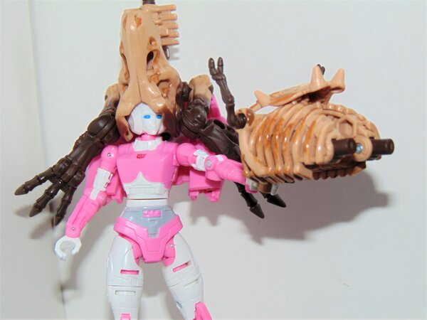 ER Arcee (5).JPG