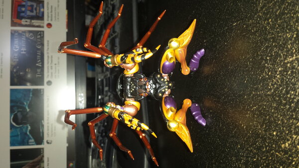 MP BW Blackarachnia (2).jpg